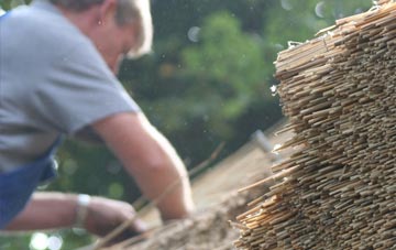 professional Lydiard Plain thatchers